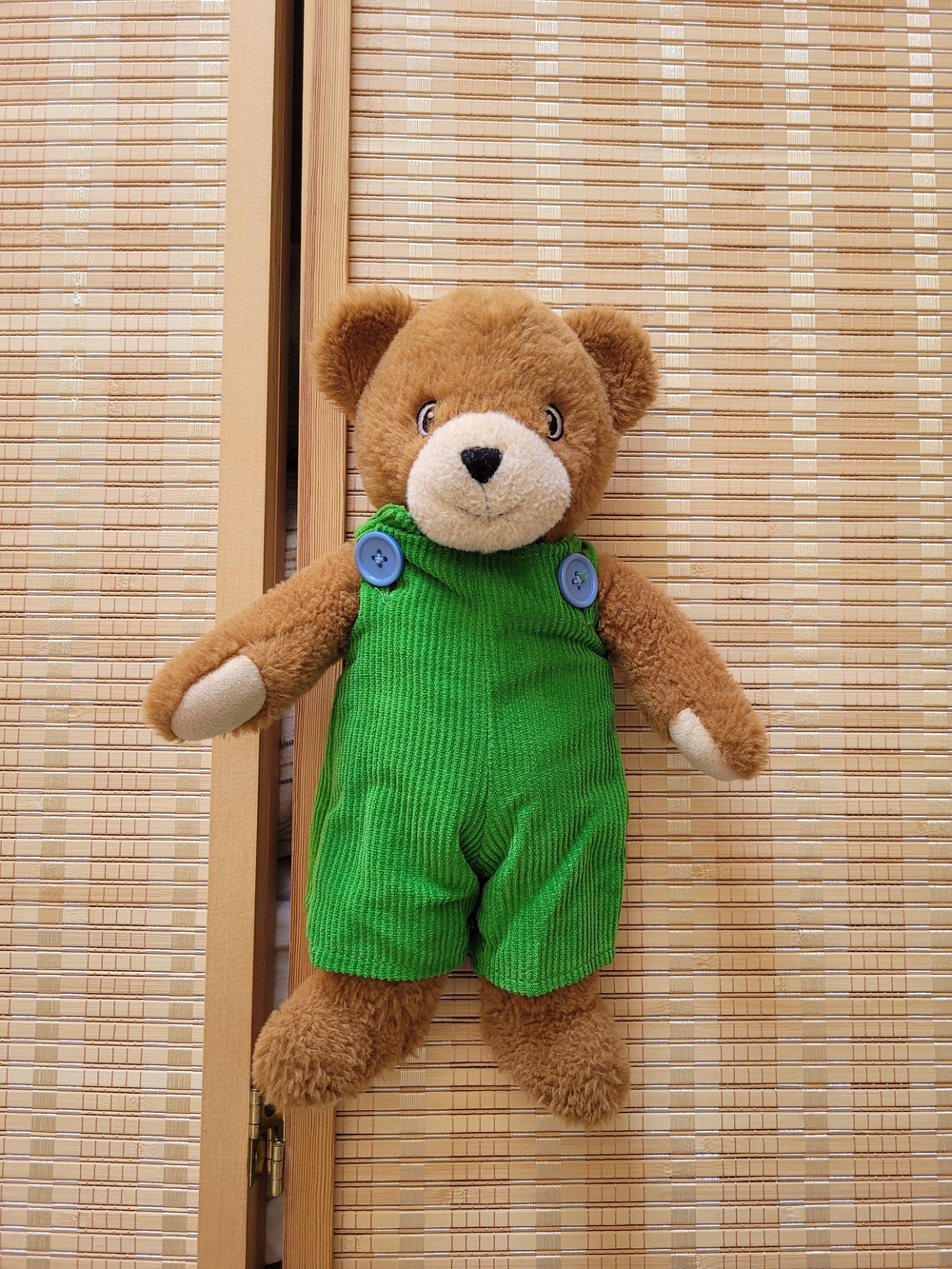 Plush Brown Teddy Bear in Green Overalls - Kids Toy